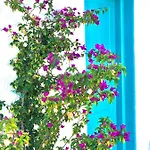 Unique Beachfront House - Private Garden 度假居 *