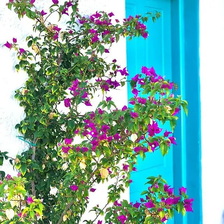 Unique Beachfront House - Private Garden بيت للعطل *