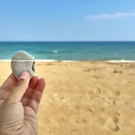 Unique Beachfront House - Private Garden *