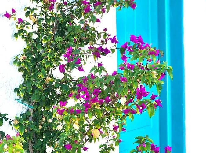 Unique Beachfront House - Private Garden Vakantiehuis *