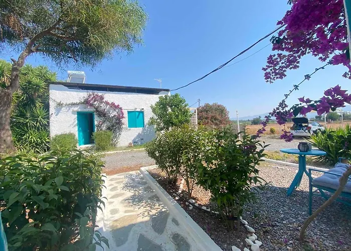 Vakantiehuis Unique Beachfront House - Private Garden *