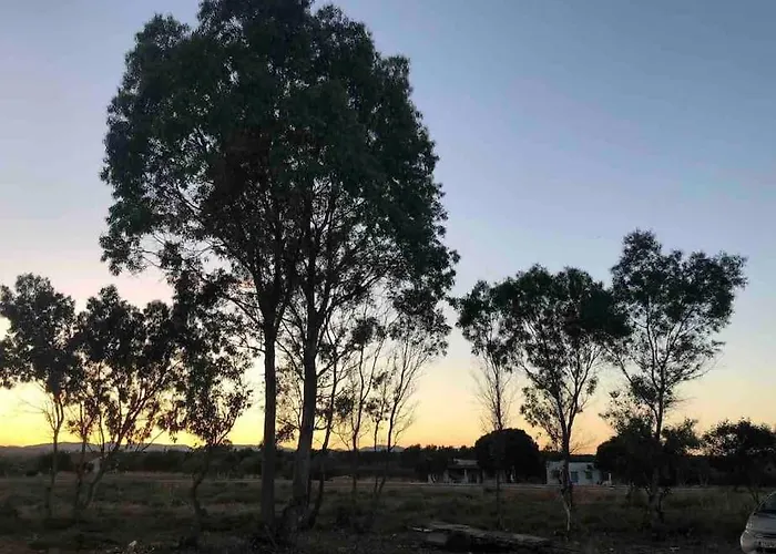 Unique Beachfront House - Private Garden Analipsis (Messinia)